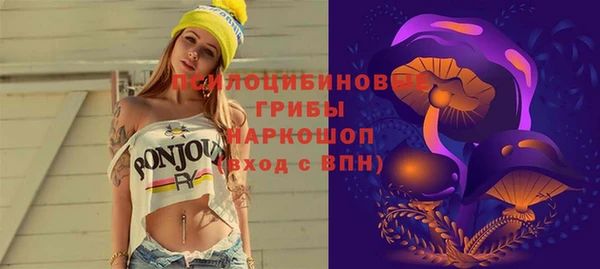 ешки Алексин