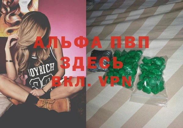 ешки Алексин