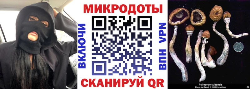 ОМГ ОМГ ТОР Мытищи Псилоцибиновые грибы мухоморы наркошоп
