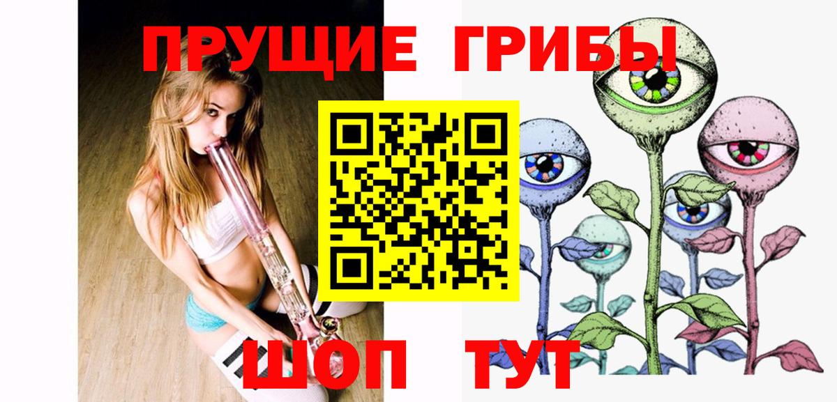 Мытищи  Псилоцибиновые грибы GOLDEN TEACHER  Вход с VPN  Псилоцибиновые грибы Psilocybe 