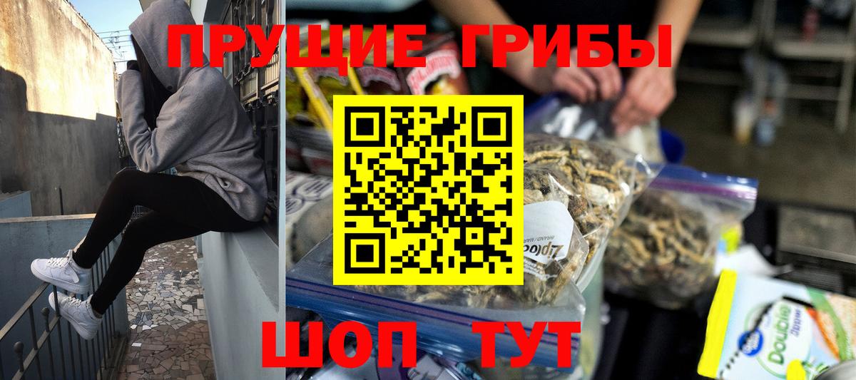 Псилоцибиновые грибы мухоморы  Галлюциногенные грибы Cubensis  Мытищи  Вход с VPN 