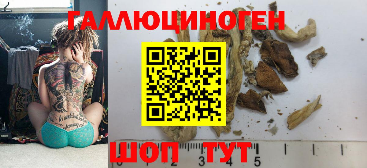 Псилоцибиновые грибы MAGIC MUSHROOMS Мытищи