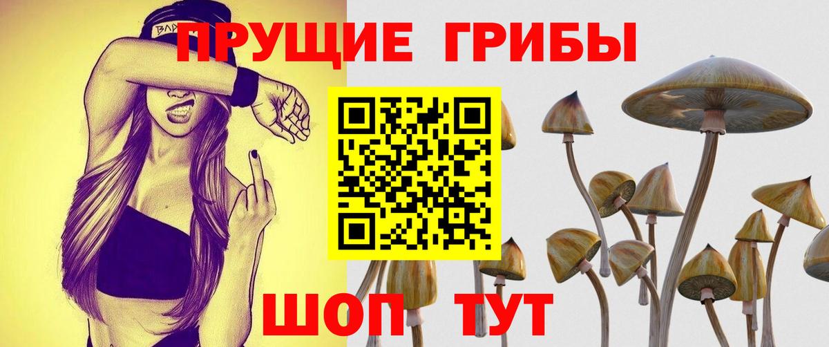 Псилоцибиновые грибы GOLDEN TEACHER Мытищи