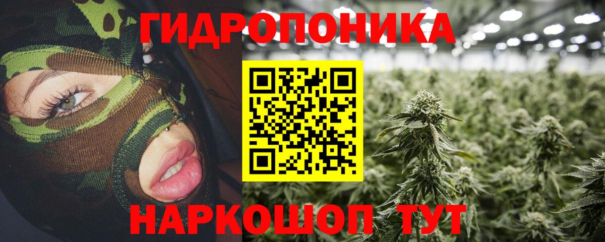 Каннабис Amnesia  Каннабис план  Вход с VPN  Канабис сатива  Шишки марихуана сатива  Мытищи 